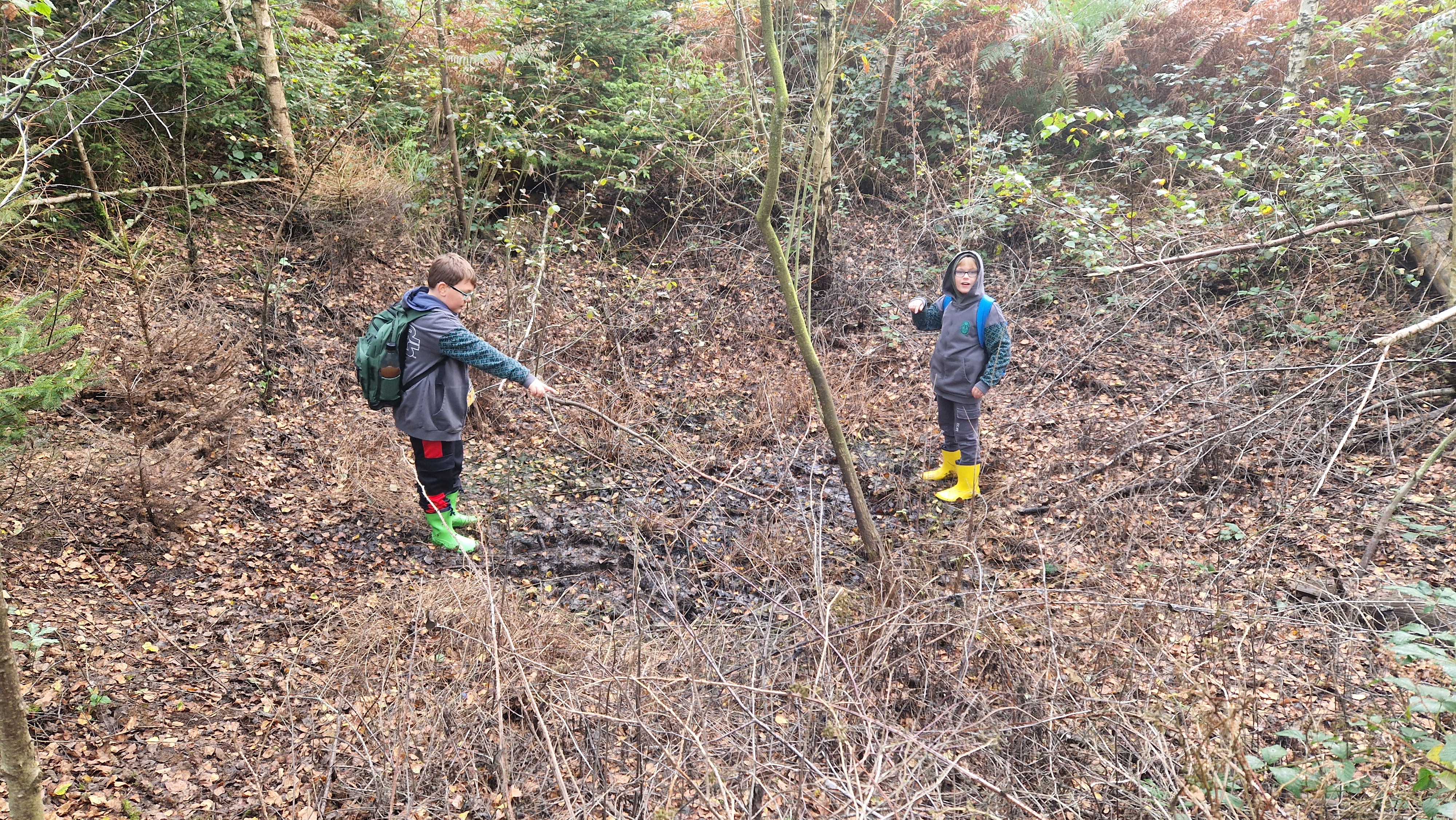 Walderlebnis 4m 24-25