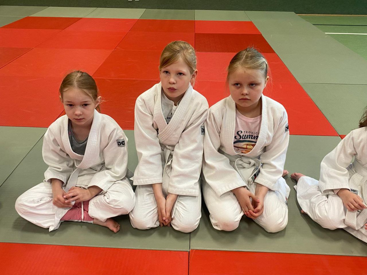 Judo KVG3